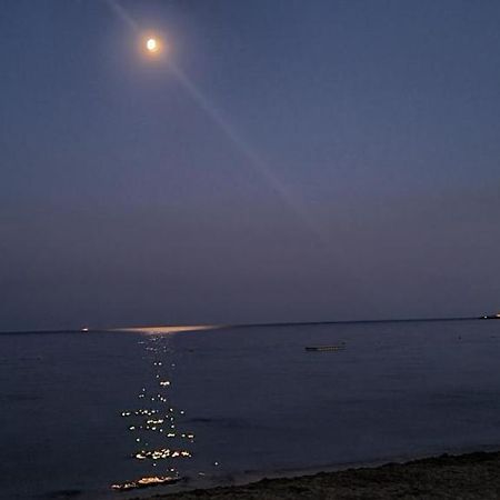 Le Tamaya Plage Charmant T2 En Rez De Jardin A 2 Pas D Une Belle Plage De Toutes Commodites Et Centre Ville Port กาวาแลร์-ซูร์-แมร์ ภายนอก รูปภาพ