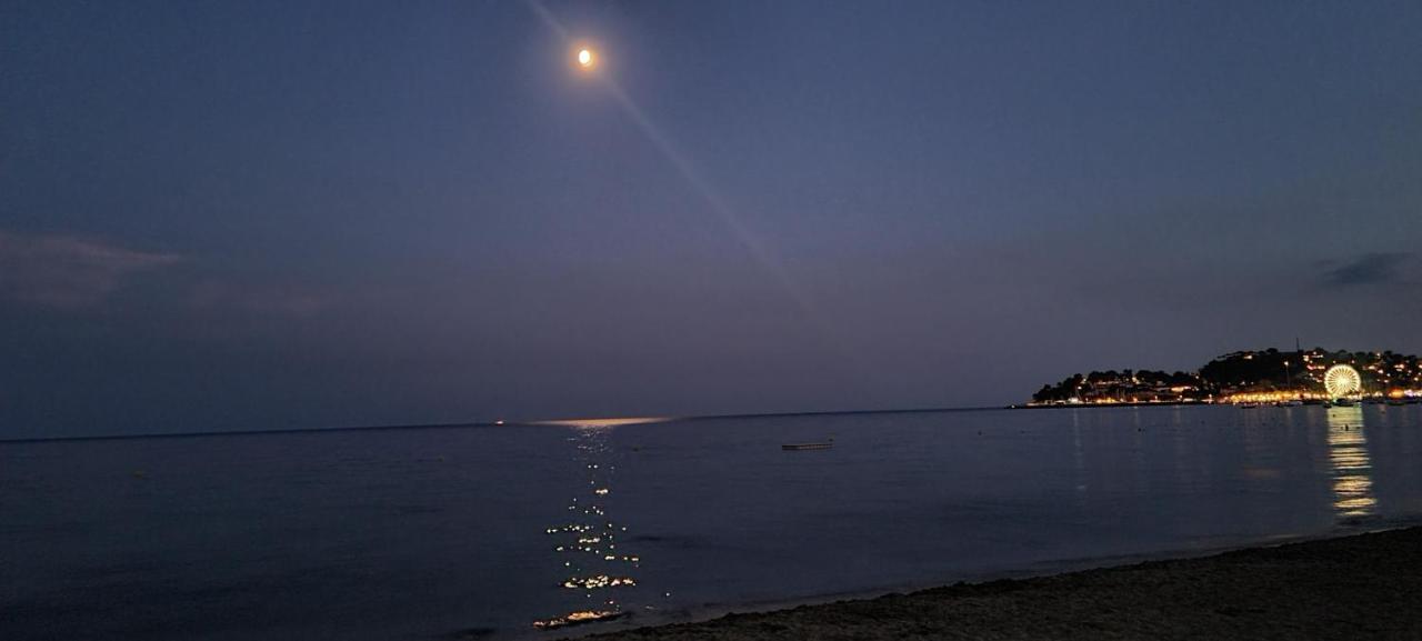 Le Tamaya Plage Charmant T2 En Rez De Jardin A 2 Pas D Une Belle Plage De Toutes Commodites Et Centre Ville Port กาวาแลร์-ซูร์-แมร์ ภายนอก รูปภาพ